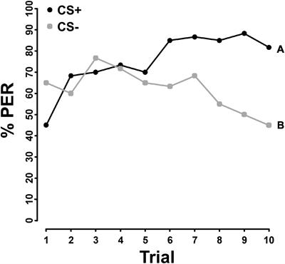 Honey Bees Can Taste Amino and Fatty Acids in Pollen, but Not Sterols